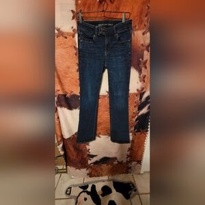 American Eagle Outfitters Deep Blue Wide Leg Jeans